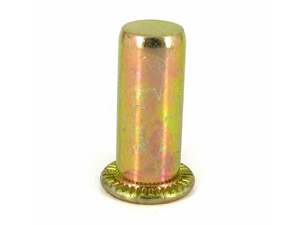 Cylindrical Head With Serration Close End Blind Nuts