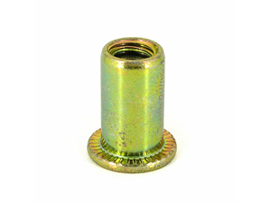 Cylindrical Head With Serration Blind Nuts