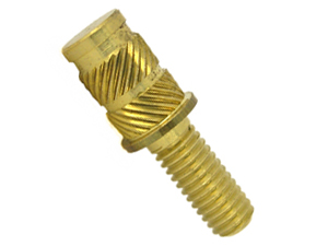 Brass Insert Screws