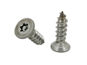 Torx Pin CSK Head Tamper Proof Tapping Screws