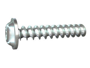 Round Washer Head PT Screws